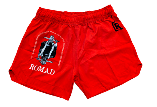 NO KINGS fight shorts